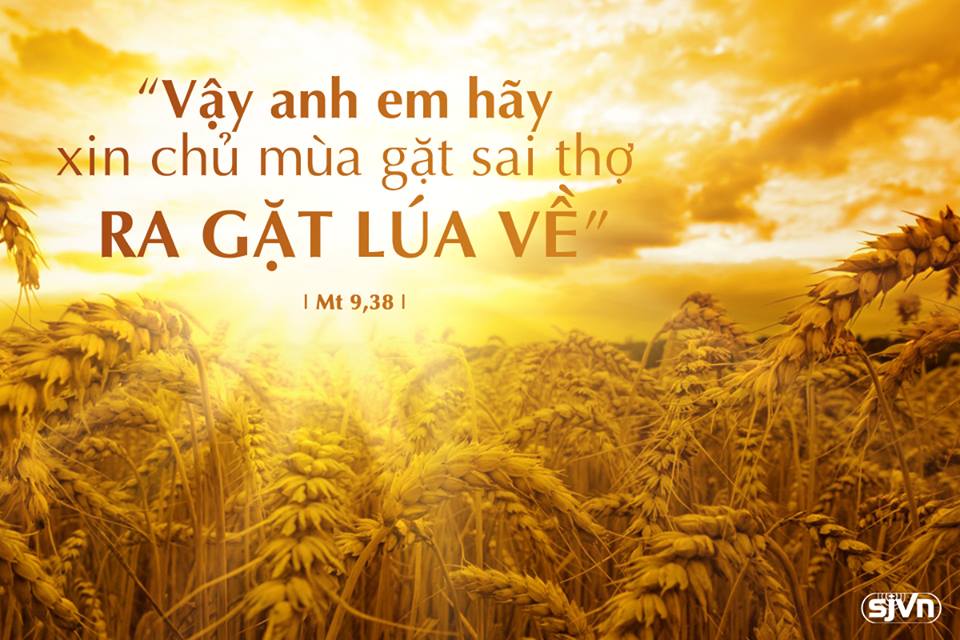 Thứ Ba tuần 14 thường niên