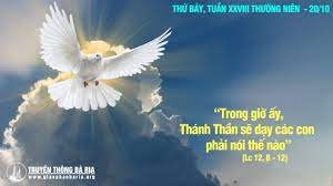 Thứ Bảy tuần 28 thường niên. – Thánh Thần sẽ dạy.