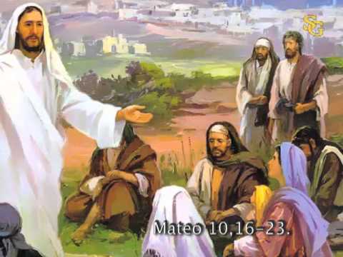Thứ Sáu tuần 14 thường niên