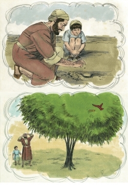 Thứ hai tuần XVII Thường niên, A