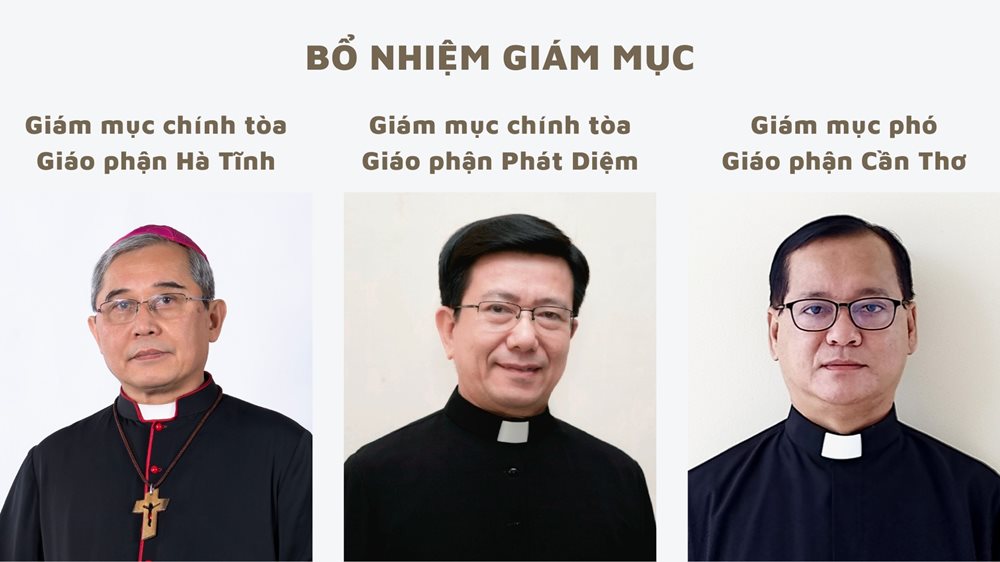 BoNhiemGiamMuc.jpg BoNhiemGiamMuc.jpg