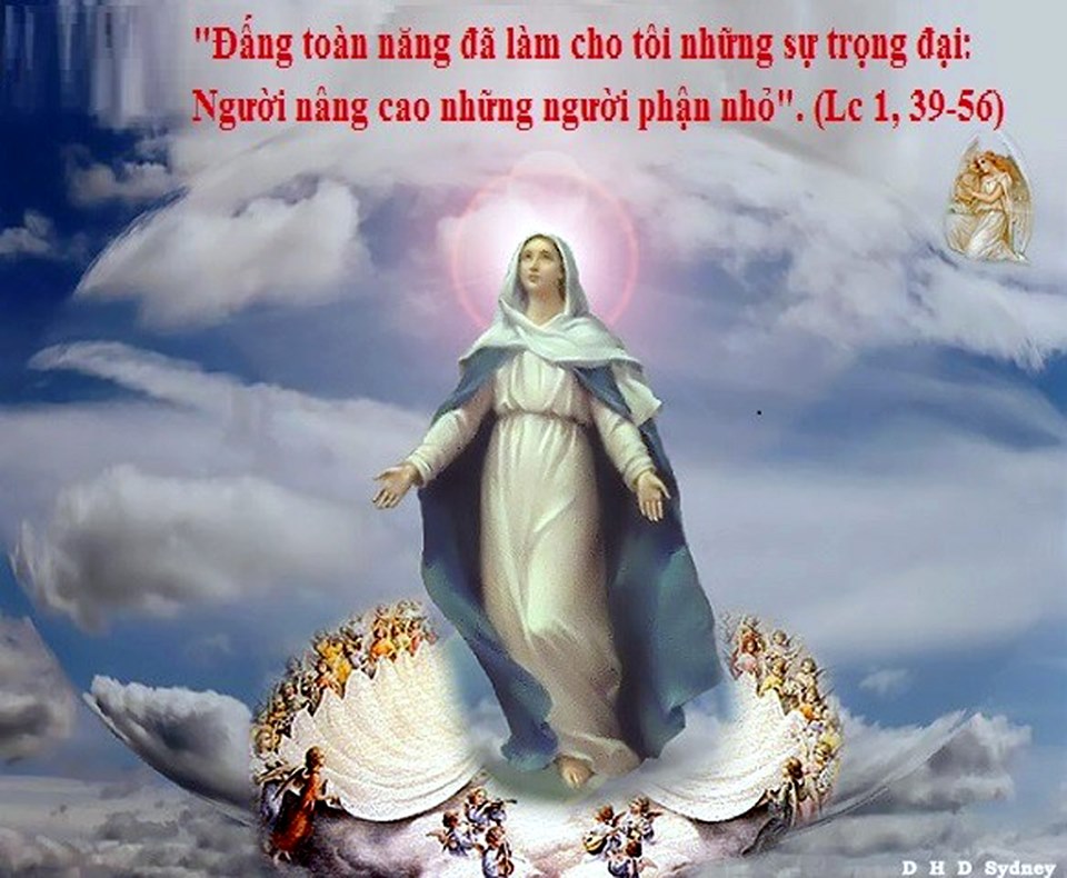 Thứ năm tuần 19 thường niên – ĐỨC MẸ LÊN TRỜI