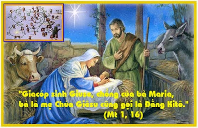 Thứ ba tuần 3 mùa vọng