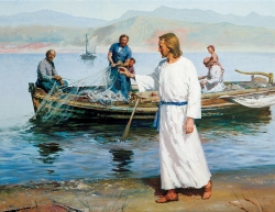Thứ năm tuần XXXIV Thường niên, A - T.Anrê Tông Đồ (K)