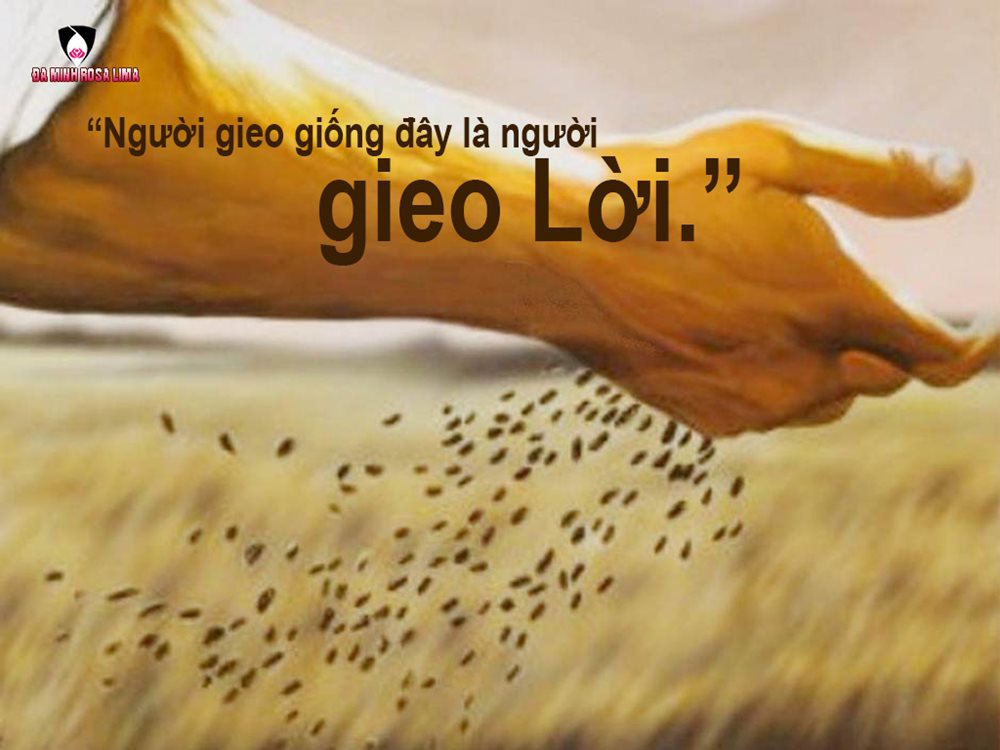 Thứ Tư Tuần III Thường Niên