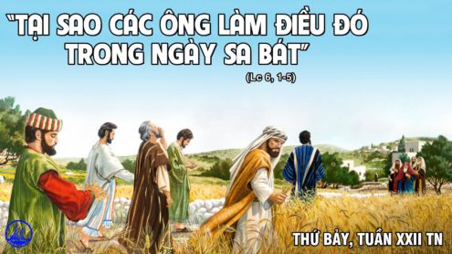 Thứ bảy đầu tháng, tuần 22 thường niên