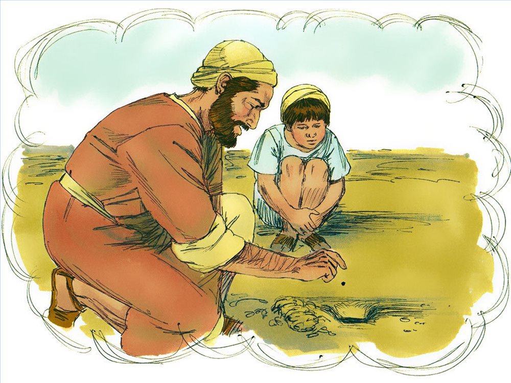 Thứ Hai Tuần 17 Thường Niên B