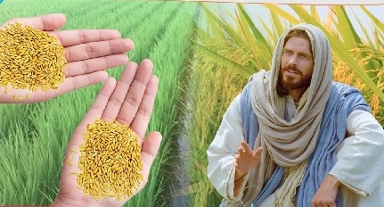 Thứ Bảy 24 TN Năm B