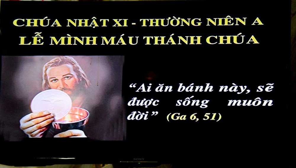 DSC_0591-(Copy).jpg DSC_0591-(Copy).jpg