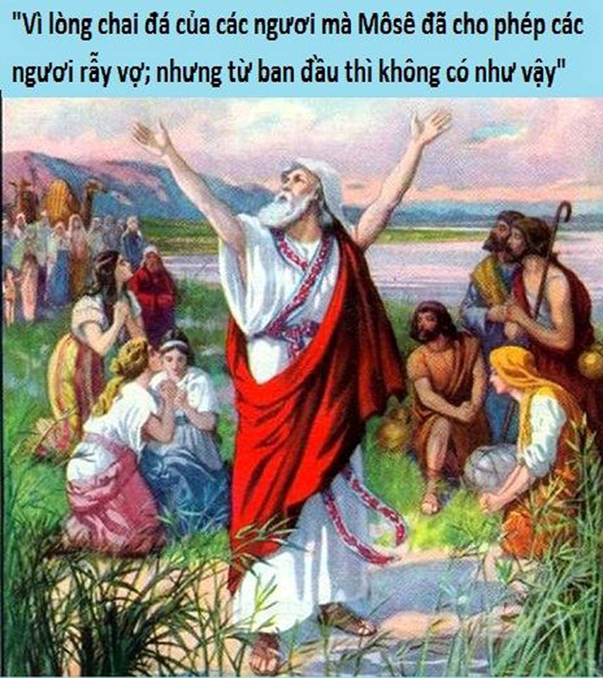 Thứ Sáu Tuần VII Thường niên, năm C