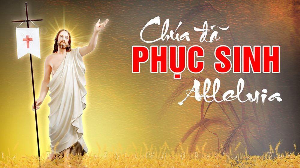 Chúa Nhật Mùa Phục Sinh Năm C