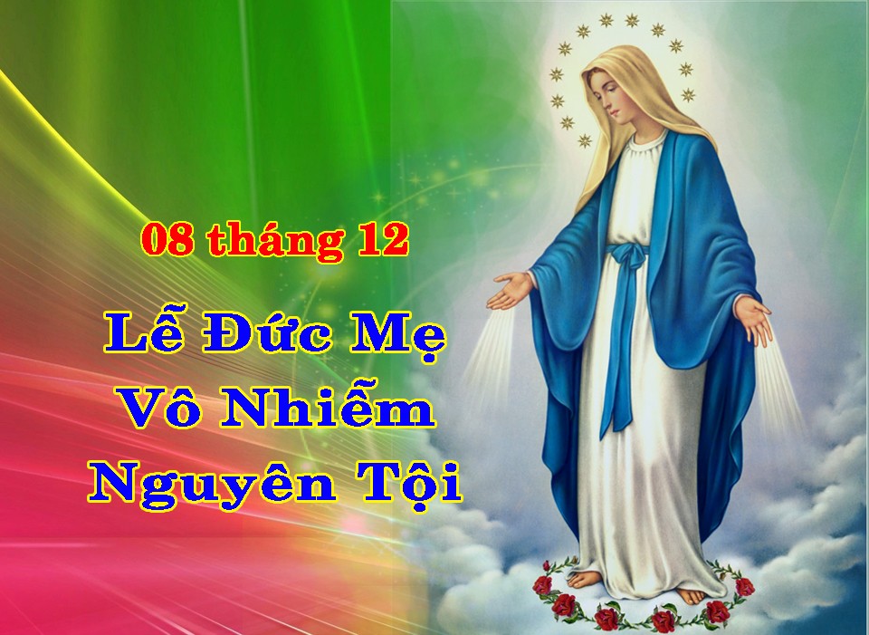 Thứ Bảy – Đức Mẹ Vô nhiễm nguyên tội