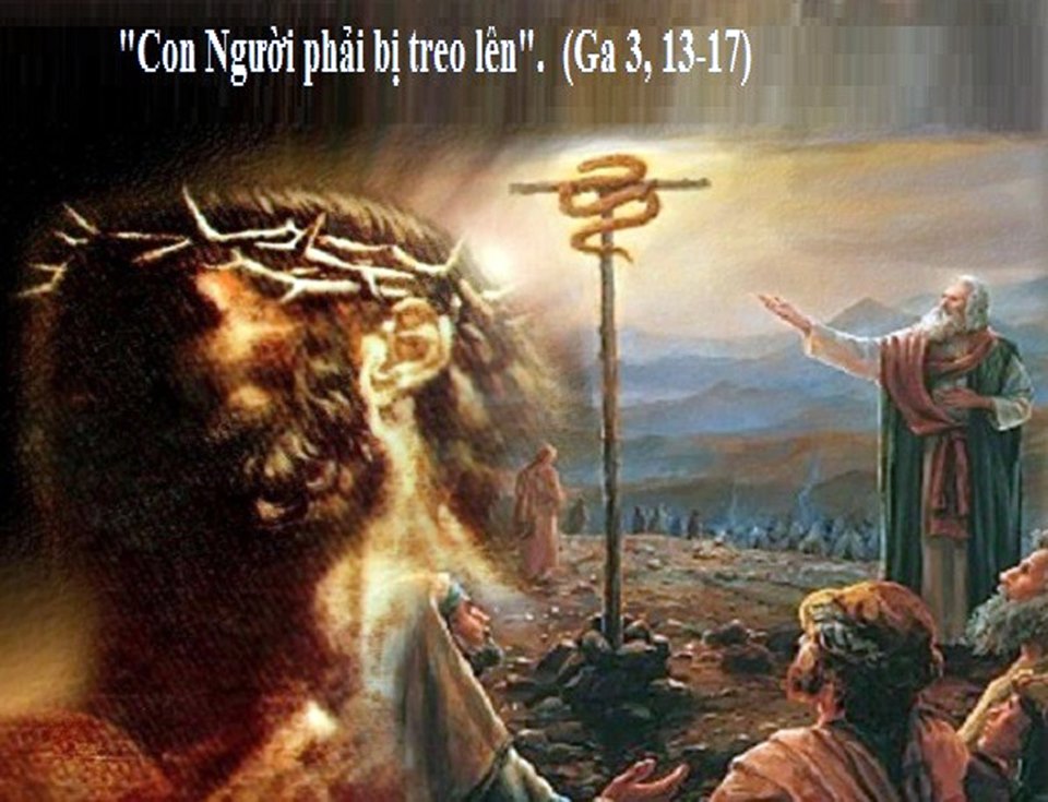 Thứ bảy tuần 23 thường niên – Suy Tôn Thánh Giá