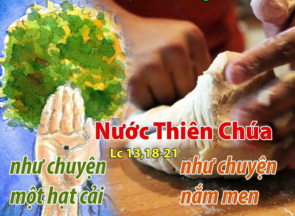 Thứ Ba tuần 30 thường niên. – Nước Thiên Chúa.