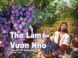 Thứ Tư tuần 20 thường niên – Thánh Piô 10, giáo hoàng