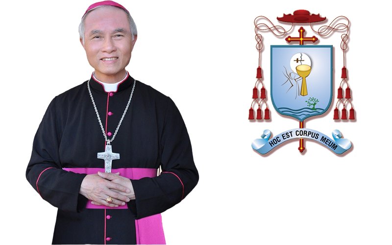 Thư gửi anh chị em giáo chức Công Giáo nhân ngày Nhà Giáo Việt Nam