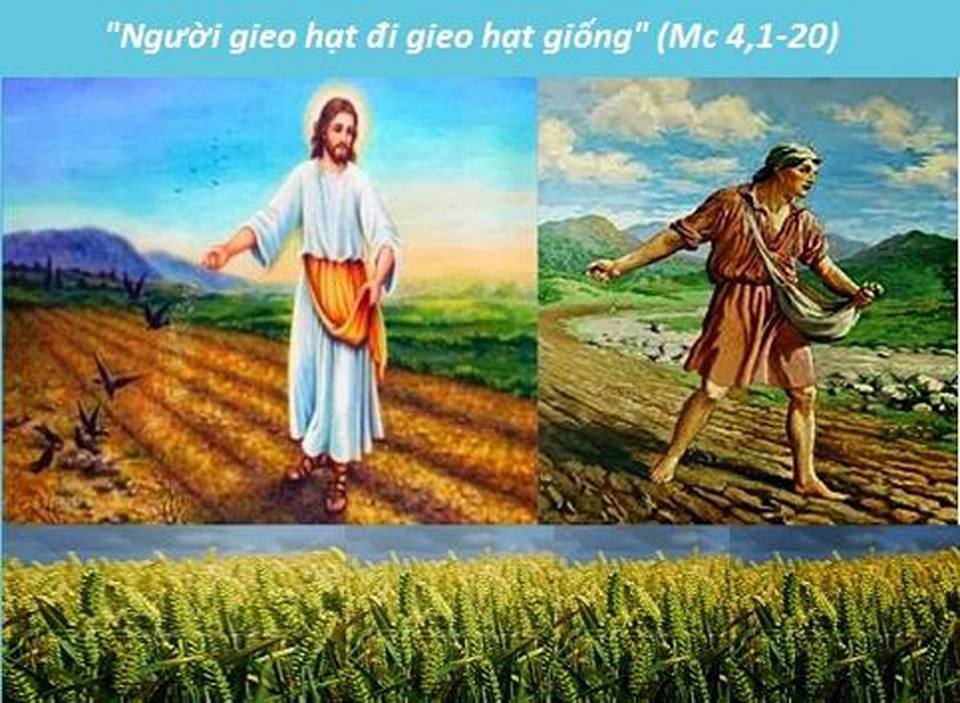 Thứ Tư Tuần III Mùa Thường Niên Năm C