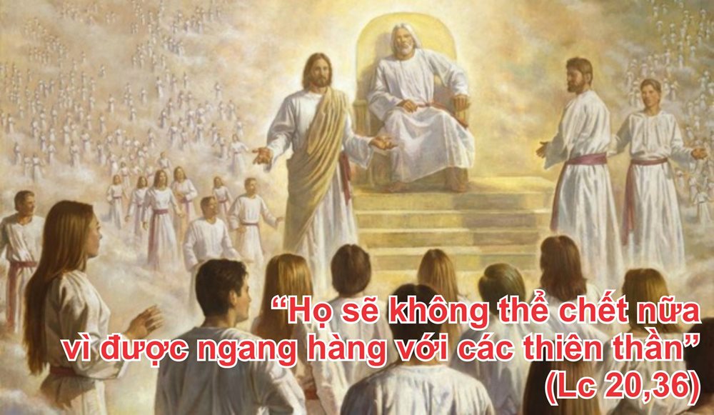 Thứ bảy tuần 33 thường niên