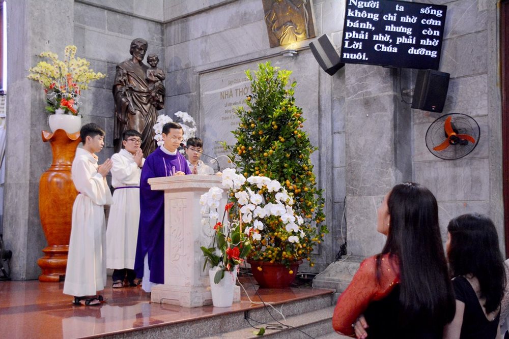 DSC_0381-(Copy).jpg DSC_0381-(Copy).jpg
